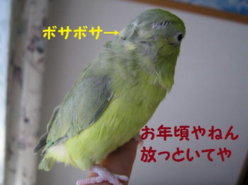 9ba6da90.JPG