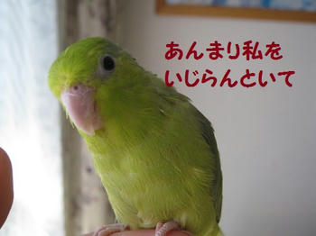 4806750b.JPG