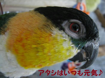 7608686c.JPG