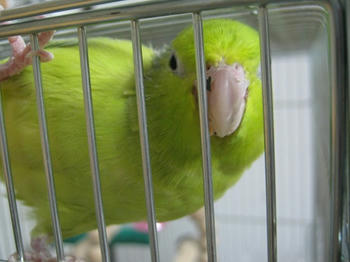 c3cc049d.JPG