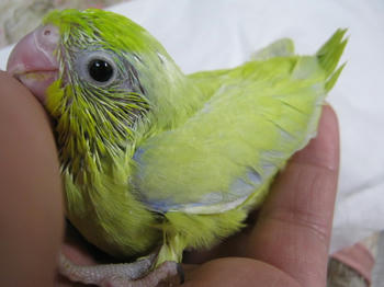 8c230120.JPG