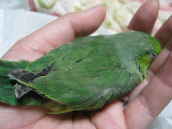 f4341f8e.JPG