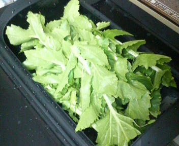 20110125_1776129.jpg