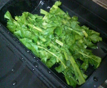 20110125_1776130.jpg