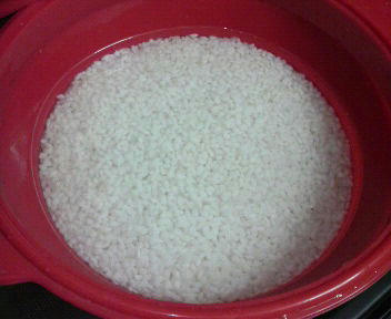 20110122_1767902.jpg
