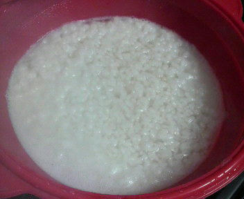 20110122_1767901.jpg