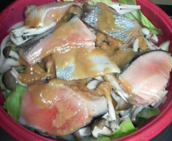 20110114_1750846.jpg