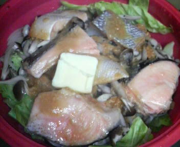 20110114_1750847.jpg