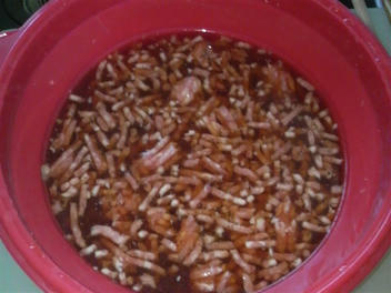 20110110_1734360.jpg