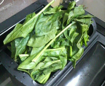 20110127_1779623.jpg