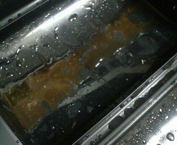 20110126_1776614.jpg