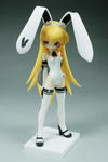 orionusal--073.JPG