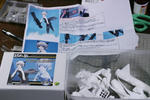 sanya-01.JPG