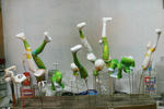 lp-all-06.JPG