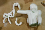 ambiva-mai-m04.JPG