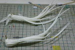 t-o-fate-07.JPG