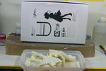volks-uryu-m01.JPG