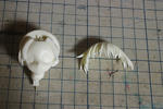 volks-uryu-m05.JPG