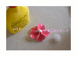 flower8.gif