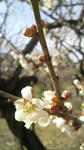 2011030613090000.jpg