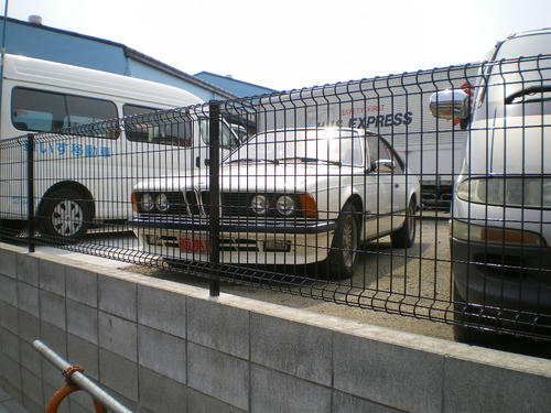 IMGP2151.JPG