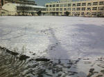 20080210.jpg