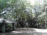 90516a.JPG