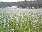 100411_1715_01.JPG