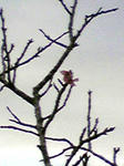 PA0_0006.JPG