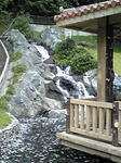 PA0_0008.JPG