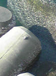 PA0_0077.JPG