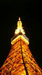 ttower2009.jpg