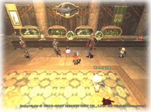 コアラの家070930-1