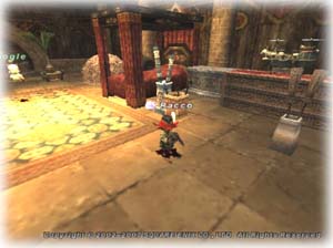 コアラの家070930-2