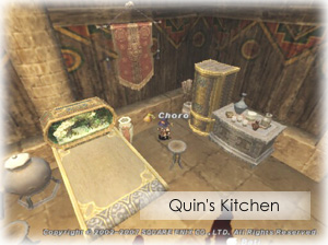 quinkitchen071121.jpg