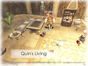 quinliving071121.jpg