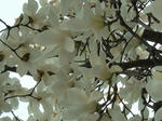 DSCF2669.jpg
