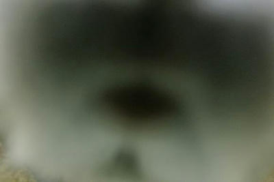 693d3e28.jpeg