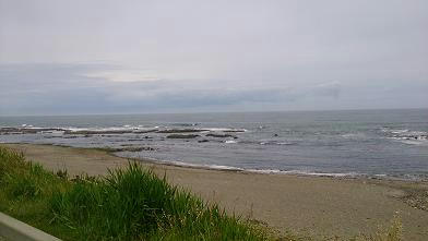 DSC_0016.jpg