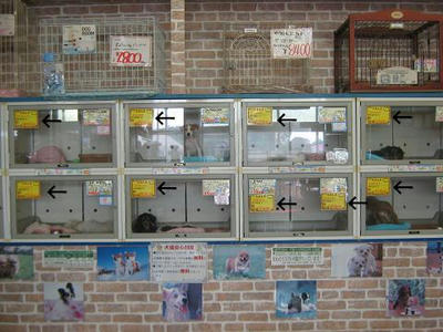 sale5.JPG