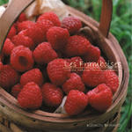 Les Framboises