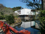 CIMG5484.JPG