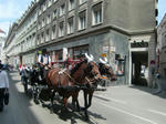 CIMG6478.JPG