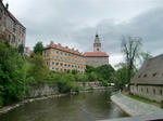 CIMG6708.JPG