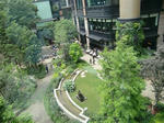 CIMG7119.JPG