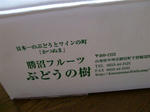 CIMG7686.JPG