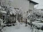 CIMG7944.JPG
