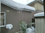 CIMG7949.JPG