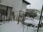 CIMG7950.JPG