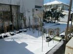 CIMG8119.JPG